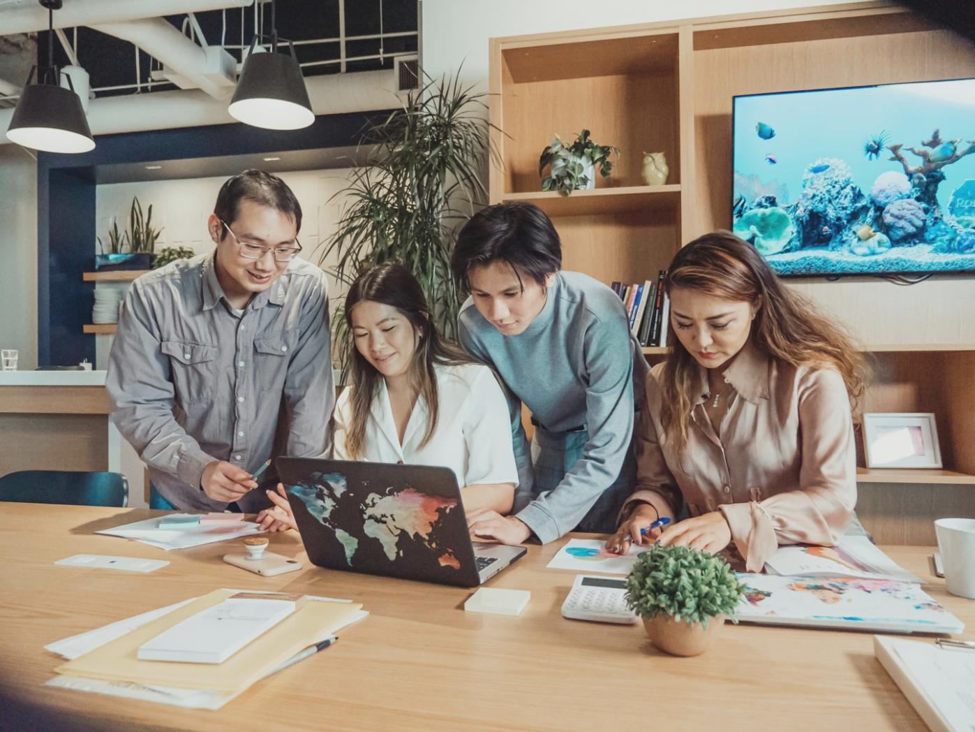 Teamdynamik verstehen